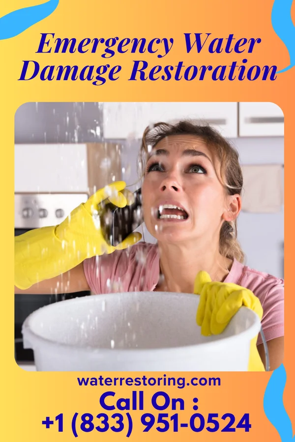 Emergency Water Damage Restoration in Tabor, SD